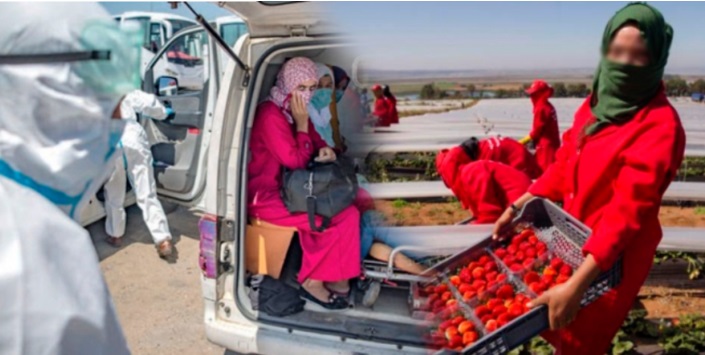 Les clusters de Lalla Mimouna au centre d'une enquête judiciaire Les clusters de Lalla Mimouna au centre d'une enquête judiciaire