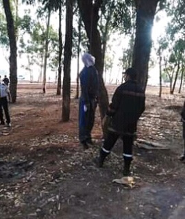​Découverte  du cadavre  d’un Pacha  de Khouribga pendu à un arbre