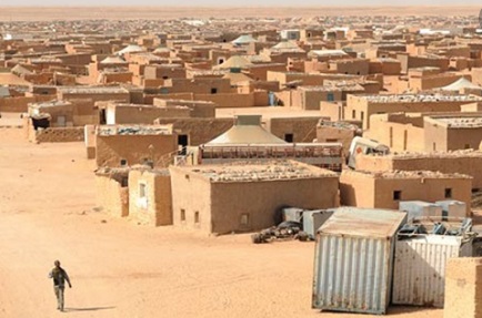 ​Un millier d'ONG sahraouies dénoncent les violations des droits de l'Homme dans les camps de Tindouf