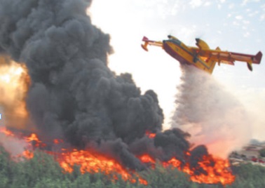 ​La Forêt diplomatique de Tanger ravagée par le feu