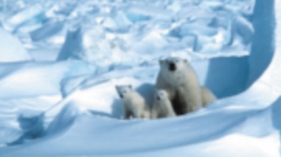 ​En Arctique, la banquise fond plus vite que prévu