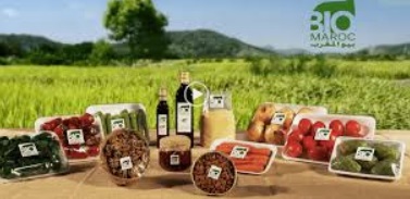 ​Le bio au Maroc, une niche qui commence à grandir