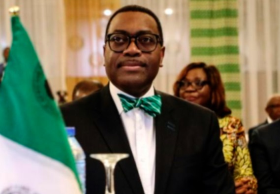​Akinwumi Adesina, un banquier actif mais à l'image ternie