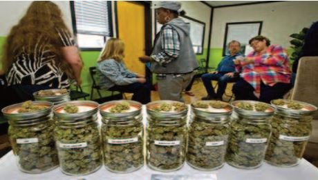 La recherche médicale sur la marijuana fait un pas au Congrès américain