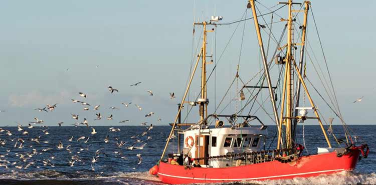 Les exportations des produits de la mer sont d’ une importance majeure dans l’ atténuation du déficit commercial