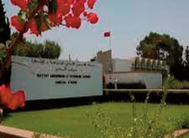 Focus à Rabat sur les opportunités d'investissement dans le secteur agro-alimentaire Focus à Rabat sur les opportunités d'investissement dans le secteur agro-alimentaire