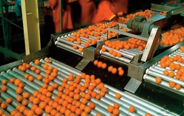 4,5 MMDH programmés en soutien aux investissements privés dans le secteur agricole