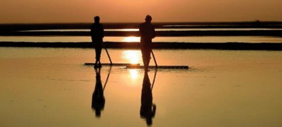 Le changement climatique asphyxie des milliers de paludiers en Inde Le changement climatique asphyxie des milliers de paludiers en Inde