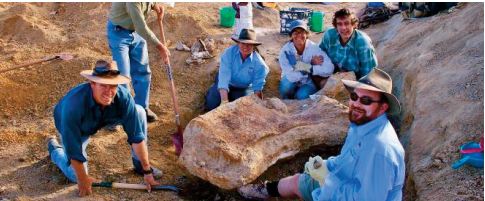 Le plus grand dinosaure découvert en Australie identifié comme une nouvelle espèce