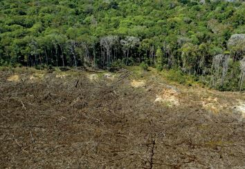 Risque de chaleurs extrêmes en 2100 au Brésil à cause de la déforestation
