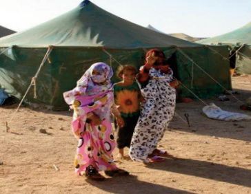 72ème Session du HCR: La délégation marocaine déconstruit les allégations algériennes mensongères