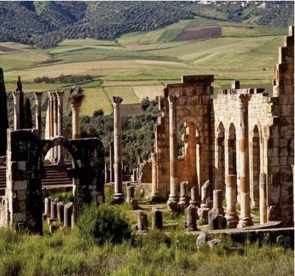 Lancement du projet de préservation des mosaïques historiques de Volubilis