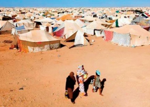 Fuite collective massive des camps de Tindouf