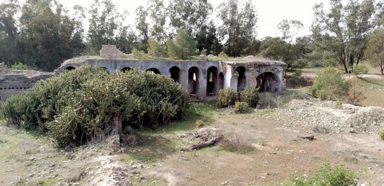 Les vestiges de la ferme Pierrard dans la forêt de Chiadma