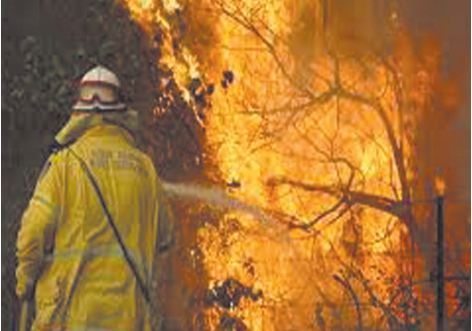 Les équipes d'intervention à pied d’œuvre pour circonscrire les incendies de forêt 