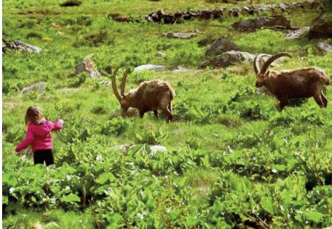 La nature n'est pas qu'une source de profit pour l'Homme