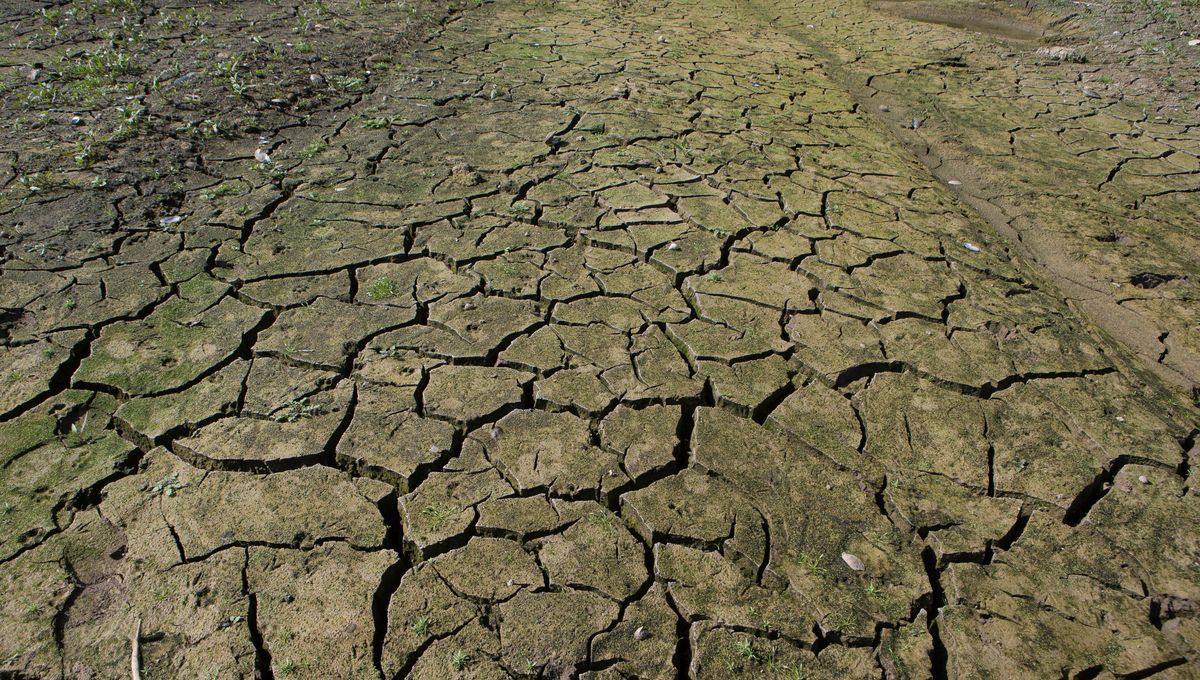 Les canicules à répétition, un marqueur du réchauffement climatique