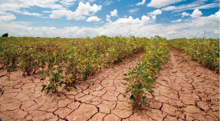 La vulnérabilité climatique n’est pas une fatalité