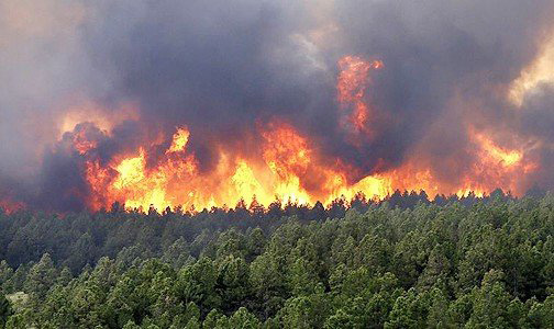 Les feux de forêt de "Jbal Ammar Teskart" et "Bouidar" complètement circonscrits
