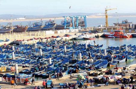 Les débarquements de la pêche côtière et artisanale dans le port d'Essaouira en hausse de 53% à fin juillet