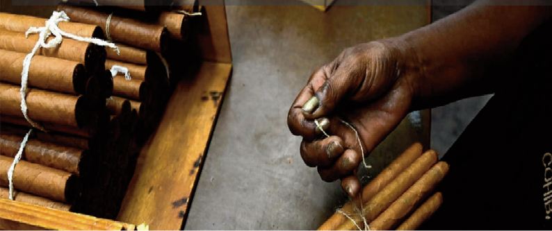 La fabrique des cigares de Castro perpétue la tradition d'excellence La fabrique des cigares de Castro perpétue la tradition d'excellence