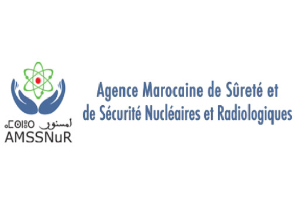 Sécurité nucléaire: L'AMSSNuR accueille un atelier régional de l'AIEA