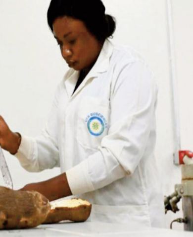 Adjata Kamara: La jeune chercheuse et les ignames