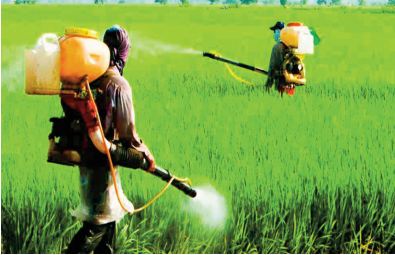 L’UE continue d’exporter des pesticides illégaux et toxiques aux pays du sud L’UE continue d’exporter des pesticides illégaux et toxiques aux pays du sud