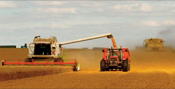 La FAO revoit à la baisse ses prévisions de production céréalière mondiale pour 2022