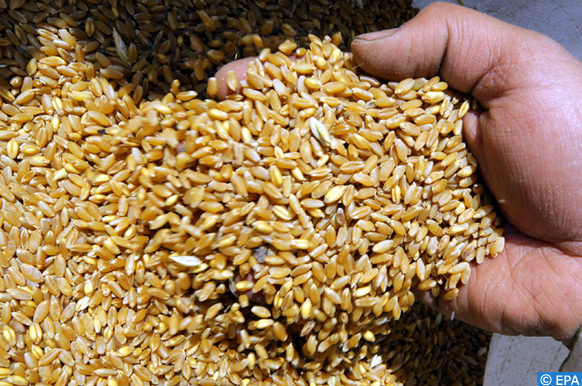 Sécurité alimentaire: La FAO et la BERD lancent un nouveau programme d'assistance