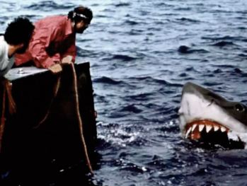 Spielberg raconte ses regrets pour les requins après "Les dents de la mer " Spielberg raconte ses regrets pour les requins après "Les dents de la mer "