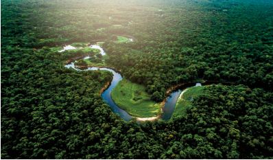 Au Brésil, les forêts mieux protégées lorsque les autochtones ont des droits sur les terres