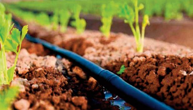La sécurité alimentaire et hydrique, un facteur indispensable au maintien de la paix dans le monde et particulièrement en Afrique