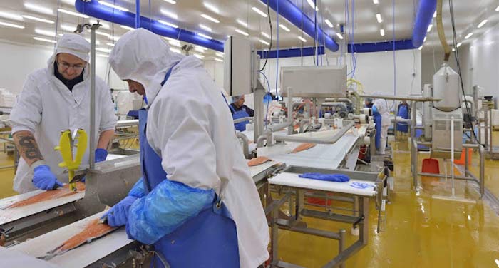 L’agroalimentaire et l’automobile les branches les plus dynamiques au premier trimestre 2023