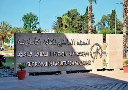 L'IRCAM célèbre la Journée mondiale de la diversité culturelle pour le dialogue et le développement L'IRCAM célèbre la Journée mondiale de la diversité culturelle pour le dialogue et le développement