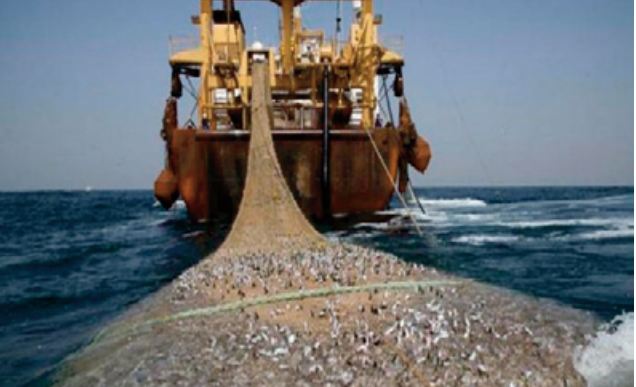 Les intérêts d'un Maroc serein, d'un Maroc souverain priment sur tout le reste