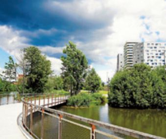 Vivre près d'espaces verts rend plus jeune de deux ans et demi