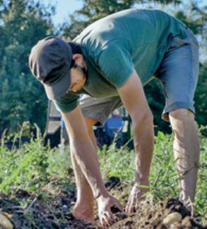 Agriculture: Une convention pour faciliter le recrutement de saisonniers marocains en France