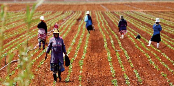 Signature d'un accord de financement d'un projet entre le Maroc et le FIDA