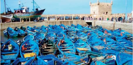 Baisse des débarquements de la pêche côtière et artisanale aux ports de Tan-Tan et Essaouira