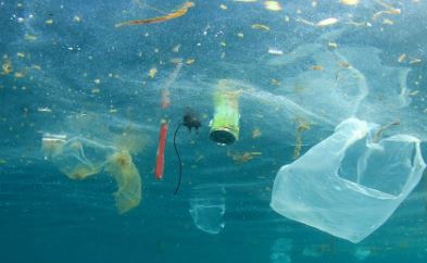 Focus sur la question de gestion des déchets marins pour un tourisme durable
