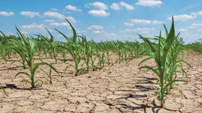 Les prévisions climatiques n’augurent rien de bon