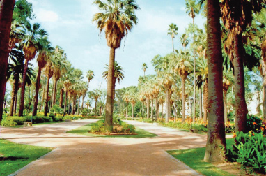 L’Hermitage, un parc centenaire au beau milieu de Casablanca