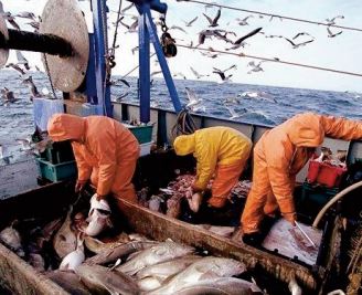 Hausse de 13% des débarquements de pêche à fin février