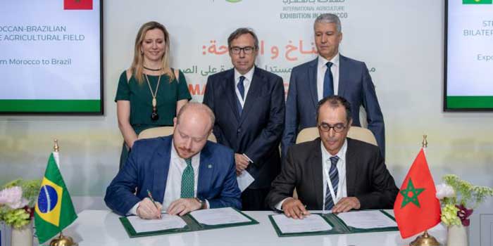 Ouverture du marché brésilien aux agrumes marocains Ouverture du marché brésilien aux agrumes marocains