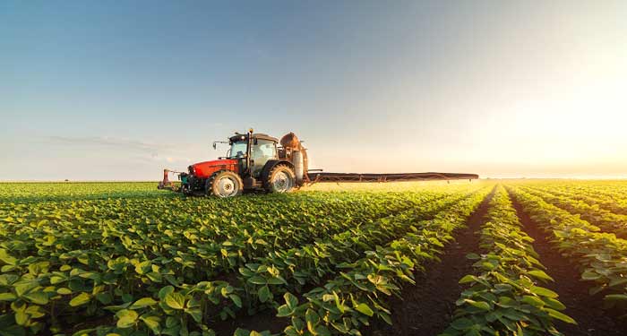 La valeur ajoutée agricole s’est accrue de 6,2% en moyenne en 2023