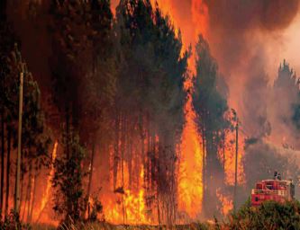 Incendies de forêt. L'ANEF entame la publication quotidienne de cartes précises des zones à risque Incendies de forêt. L'ANEF entame la publication quotidienne de cartes précises des zones à risque