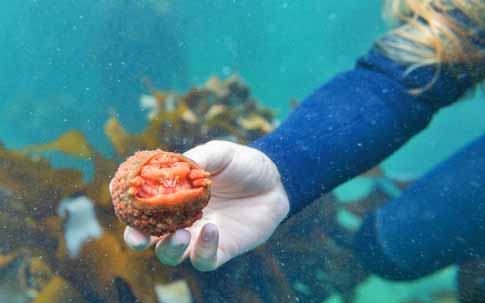 Un appel solennel pour la restauration des terres Un appel solennel pour la restauration des terres