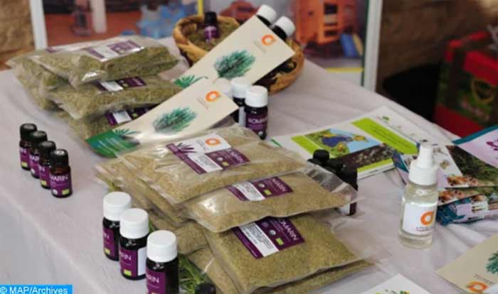 Sefrou : Plus de 55 coopératives exposent leurs produits aux marchés mobiles de l'économie sociale et solidaire Sefrou : Plus de 55 coopératives exposent leurs produits aux marchés mobiles de l'économie sociale et solidaire