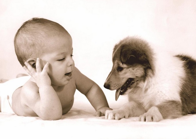 La fable du chien et du bébé